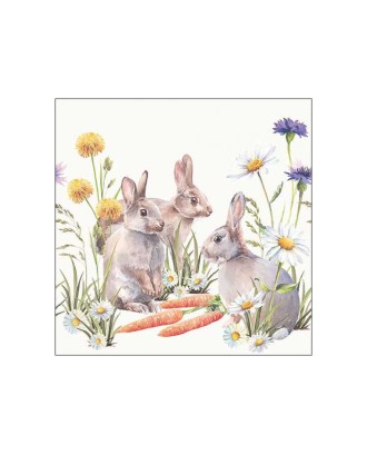 Servetele de masa, 20 buc, 33x33 cm, Carrot Treat - AMBIENTE